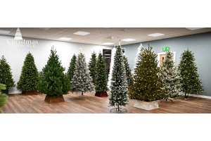 Best Christmas Trees to Hire for Events & Markets