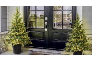 The Best Christmas Garden Decorations to Light Up Your Home