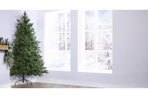 Where to Put Your Christmas Tree at Home