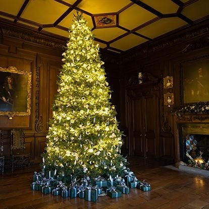 14 Foot Christmas Trees