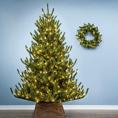 Modern Christmas Trees