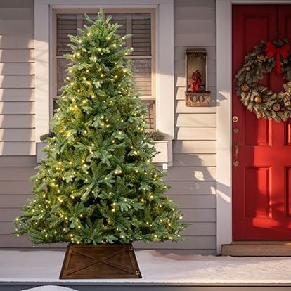 Sub-Category Outdoor Christmas Trees