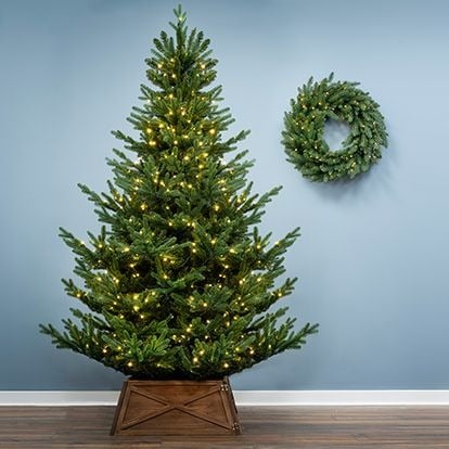 Realistic Christmas Trees