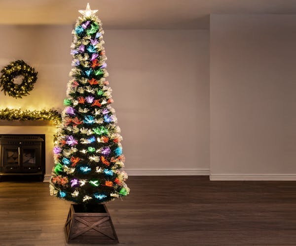 Vesuvius Fir