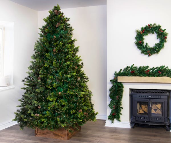 Foresta Pine