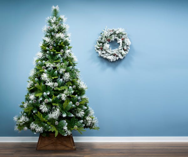 Snowy Scots Pine