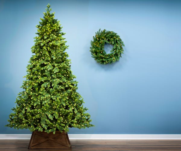 Montagna Fir