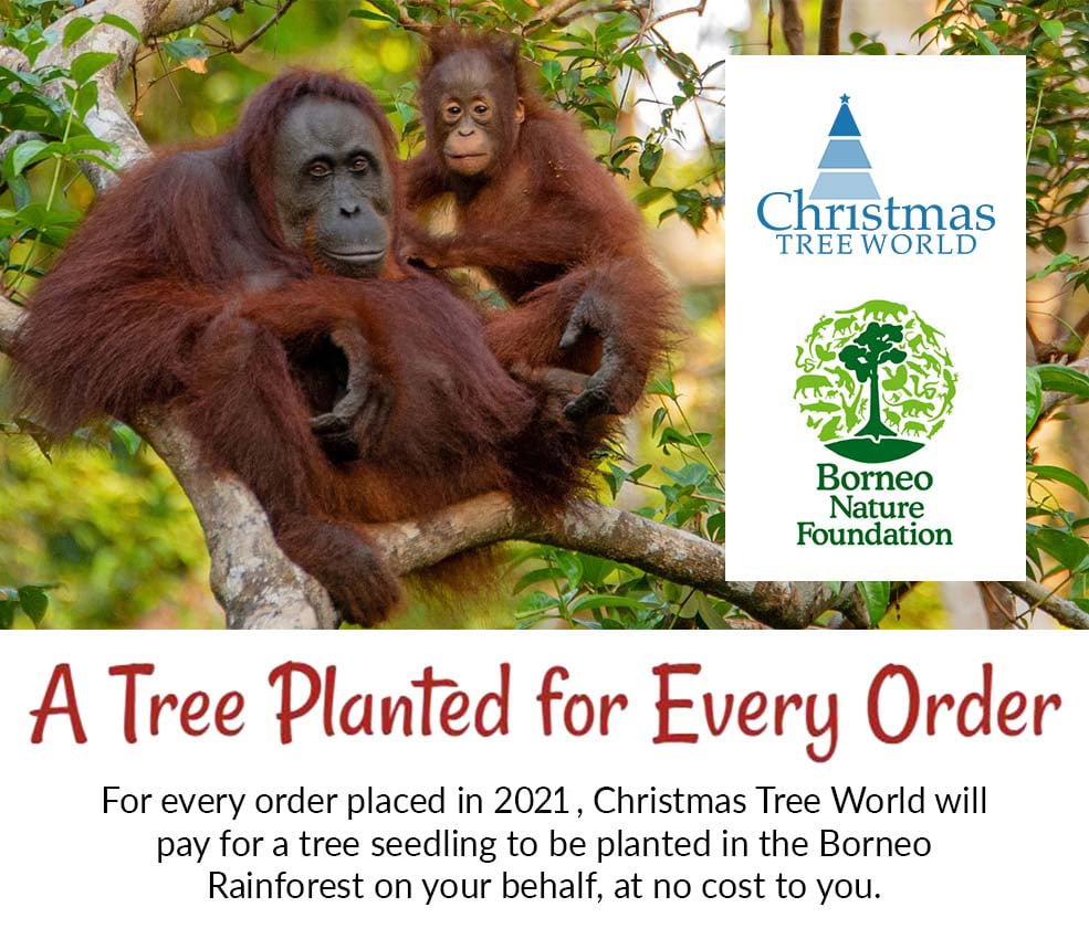 Artificial Christmas Trees