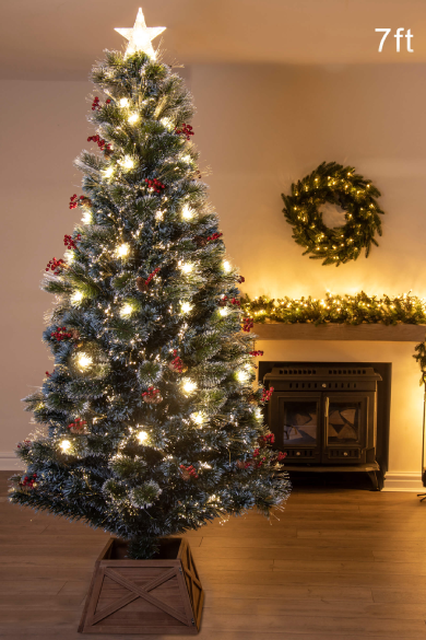 Christmas tree store with frost