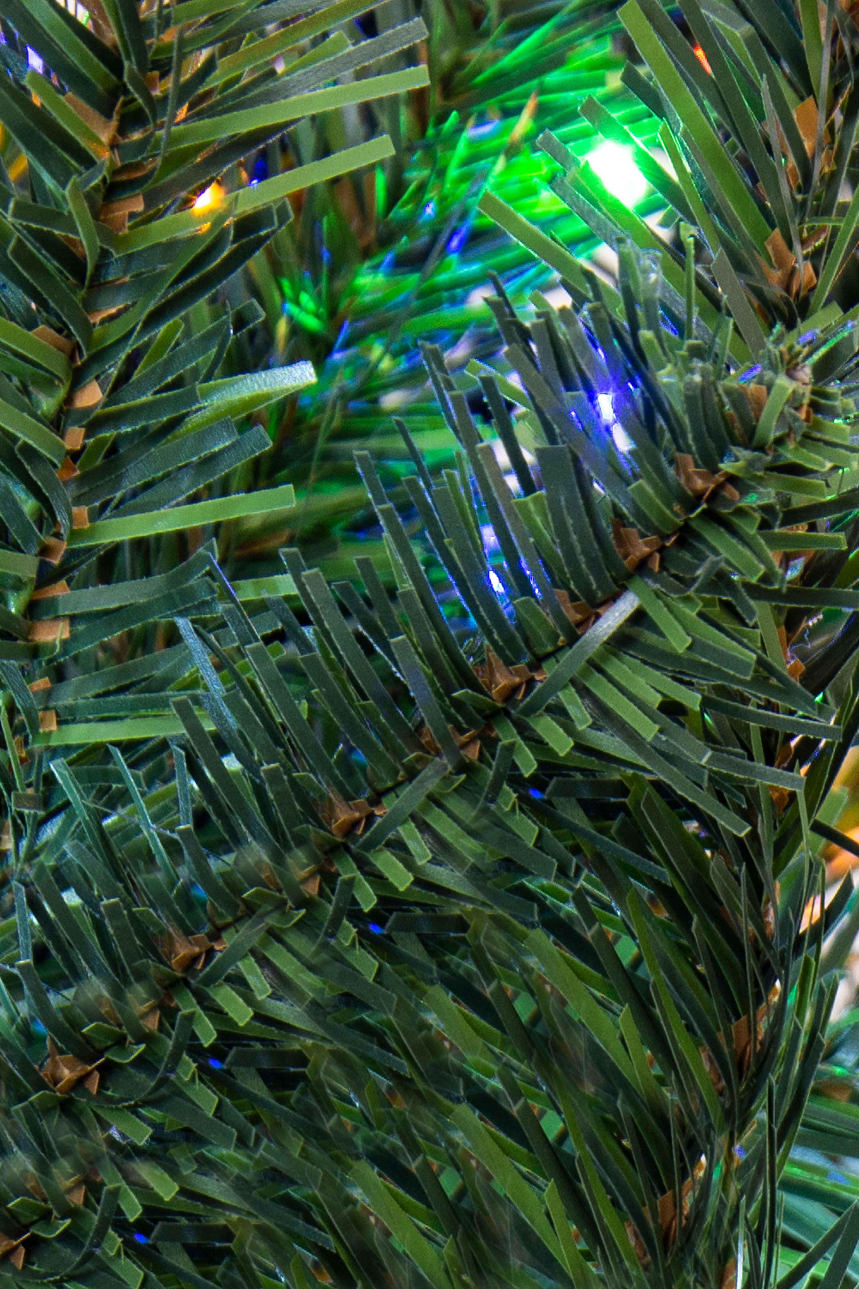 The Mountain Pine Tree | Christmas Tree World