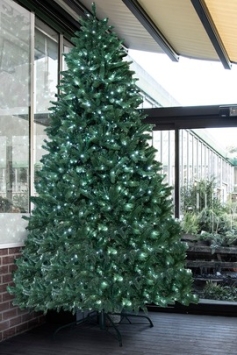 The 12ft Pre-lit Ultra Devonshire Fir - 6.6ft Wide - Warm White/White Colour change LEDs