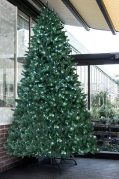 The Pre-lit 10ft Ultra Devonshire Fir - 5.65ft Wide - Warm White/White Colour change LEDs