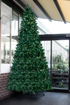 The 10ft Pre-lit Ultra Devonshire Tree - 4.6ft wide - Warm White/Bright White Colour Change Lights