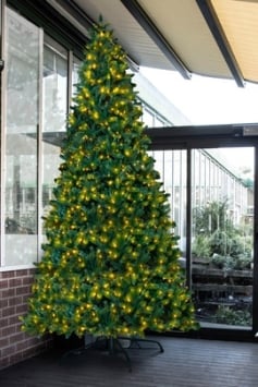 The 12ft Pre-lit Ultra Devonshire Tree - 5.3ft Wide - Warm White/Multicoloured Colour Change LEDs