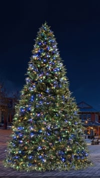 6m/19.4ft Commercial Giant Woodland Frame Tree - Choose LED Colour