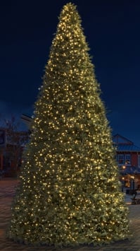 5m/16.4ft Commercial Giant Woodland Frame Tree - Choose LED Colour