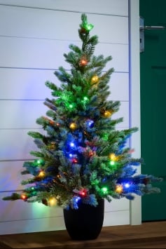 The 3ft Pre-lit Cairngorm Pine potted tree (Outdoor) - Warm White/Multicolour colour change lights