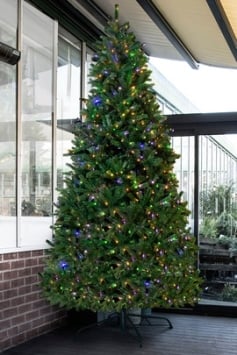 The 10ft Pre-lit Ultra Devonshire Tree - 4.6ft wide - Warm White/Multicoloured Colour Change LEDs