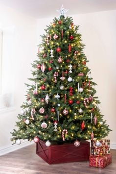 The 12ft Woodland Pine Tree