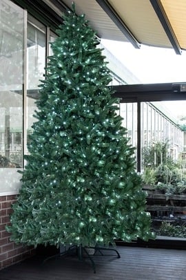 The 12ft Pre-lit Ultra Devonshire Fir - 6.6ft Wide - Warm White/White Colour change LEDs