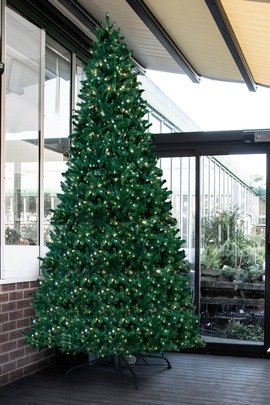The 10ft Pre-lit Ultra Devonshire Tree - 4.6ft wide - Warm White/Bright White Colour Change Lights