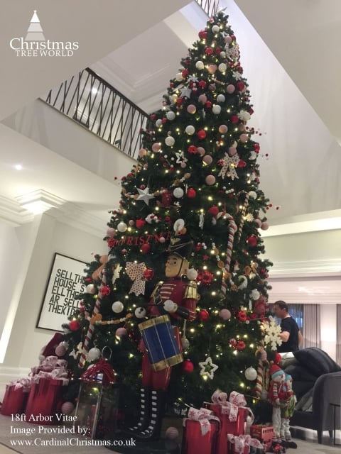 The 16ft Arbor Vitae Fir Tree