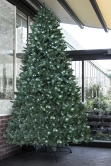 The 12ft Pre-lit Ultra Devonshire Fir - 6.6ft Wide - Warm White/White Colour change LEDs