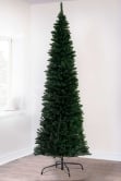 The 8ft Green Italian Pencilimo Tree