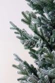 The 6ft Frosted Ultra Mountain Pine
