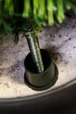 The Pre-lit Majestic Dew Pine Potted Tree (3ft to 5ft)
