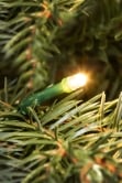 The Pre-lit Cairngorm Pine Potted Tree (3ft to 5ft)