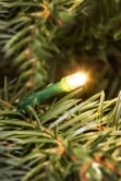 The 3ft Pre-lit Cairngorm Pine potted tree (Outdoor) - Warm White/Multicolour colour change lights