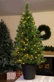 The Pre-lit Majestic Dew Pine Potted Tree (3ft to 5ft)