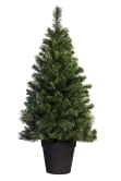 The 5ft Pre-lit Majestic Dew Pine Potted Tree (Indoor/Outdoor)