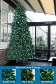 The 10ft Pre-lit Ultra Devonshire Tree - 4.6ft wide - Warm White/Bright White Colour Change Lights