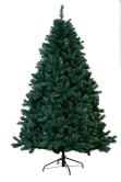 The 8ft Arbor Vitae Fir Tree