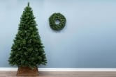 The 10ft Majestic Dew Pine Tree