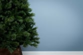 The 10ft Majestic Dew Pine Tree