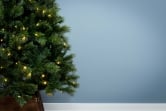 The 9ft Pre-lit Majestic Dew Pine Tree