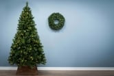 The 9ft Pre-lit Majestic Dew Pine Tree