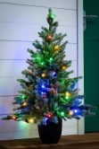 The 3ft Pre-lit Cairngorm Pine potted tree (Outdoor) - Warm White/Multicolour colour change lights