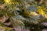 The 3ft Pre-lit Cairngorm Pine potted tree (Outdoor) - Warm White/Multicolour colour change lights