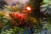 The 3ft Pre-lit Cairngorm Pine potted tree (Outdoor) - Warm White/Multicolour colour change lights