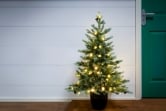 The 3ft Pre-lit Cairngorm Pine potted tree (Outdoor) - Warm White/Multicolour colour change lights