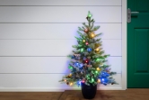 The 3ft Pre-lit Cairngorm Pine potted tree (Outdoor) - Warm White/Multicolour colour change lights