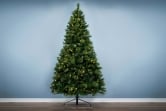 The 9ft Pre-lit Majestic Dew Pine Tree