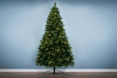 The 10ft Pre-lit Majestic Dew Pine Tree