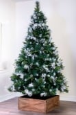 The 6ft Snowy Scots Pine Tree