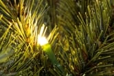 The 8ft Pre-lit Matterhorn Pine - Warm White LED lights