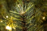 The 8ft Pre-lit Matterhorn Pine - Warm White LED lights